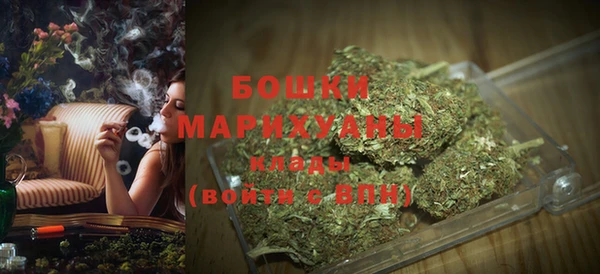 дживик Сосновоборск