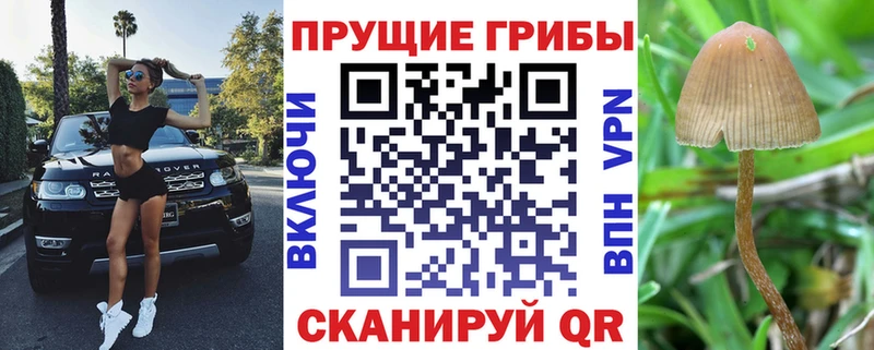 Псилоцибиновые грибы MAGIC MUSHROOMS  Давлеканово 